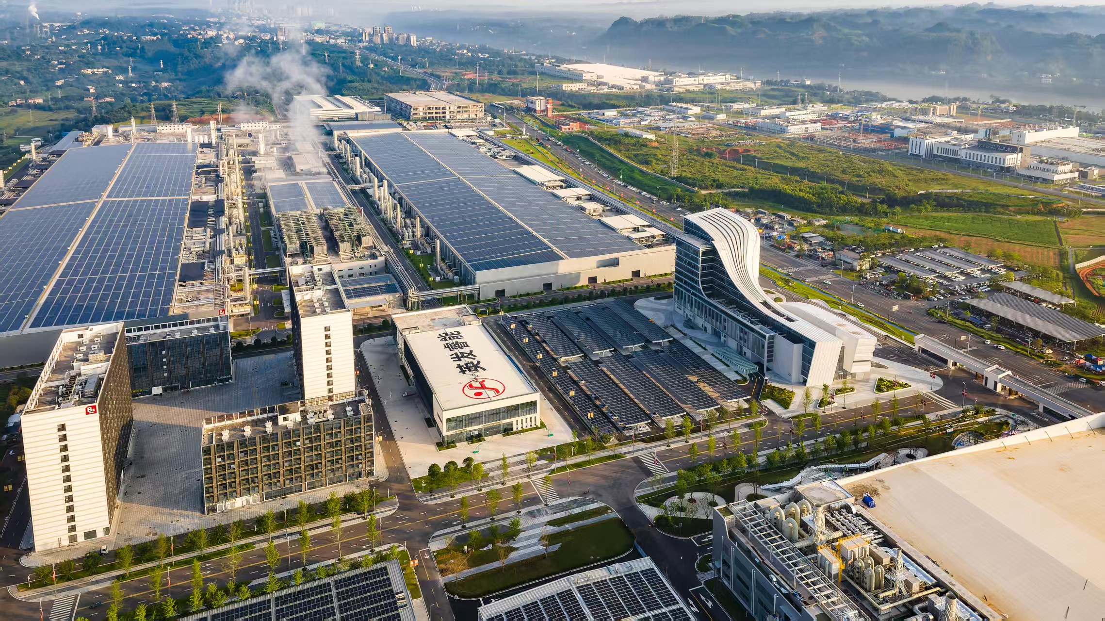 十年磨一剑：从行业新秀到全球领跑