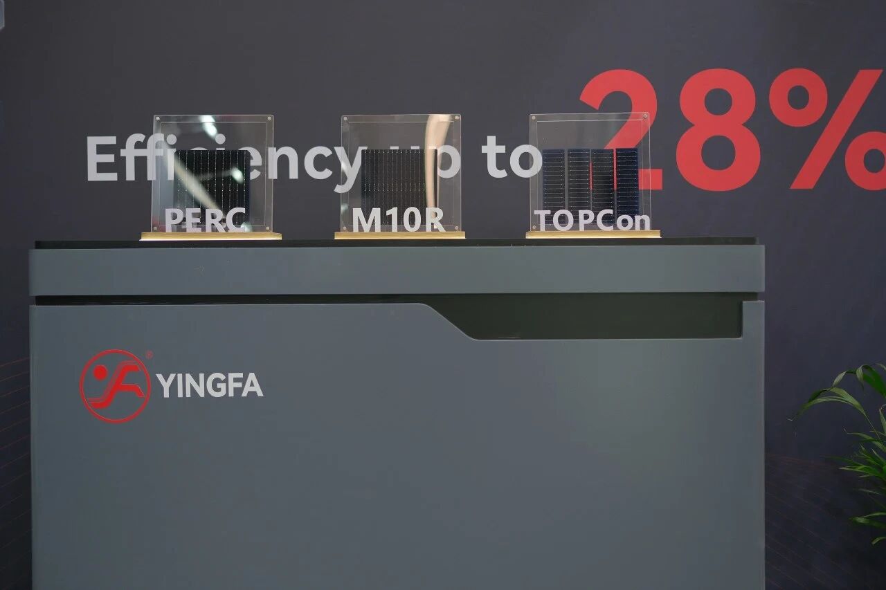 1782442665871494.jpg 1782442665871494.jpg